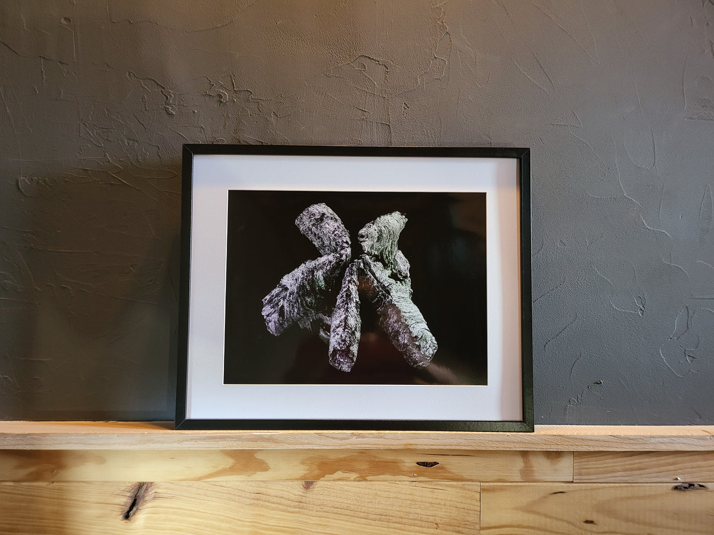Photographie "Bois Vert"