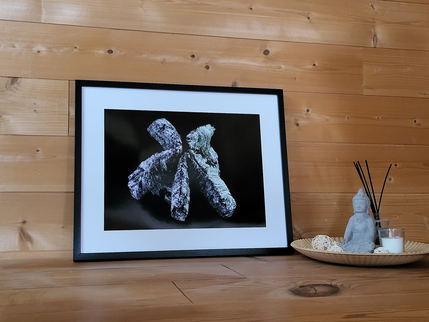 Photographie "Bois Vert"