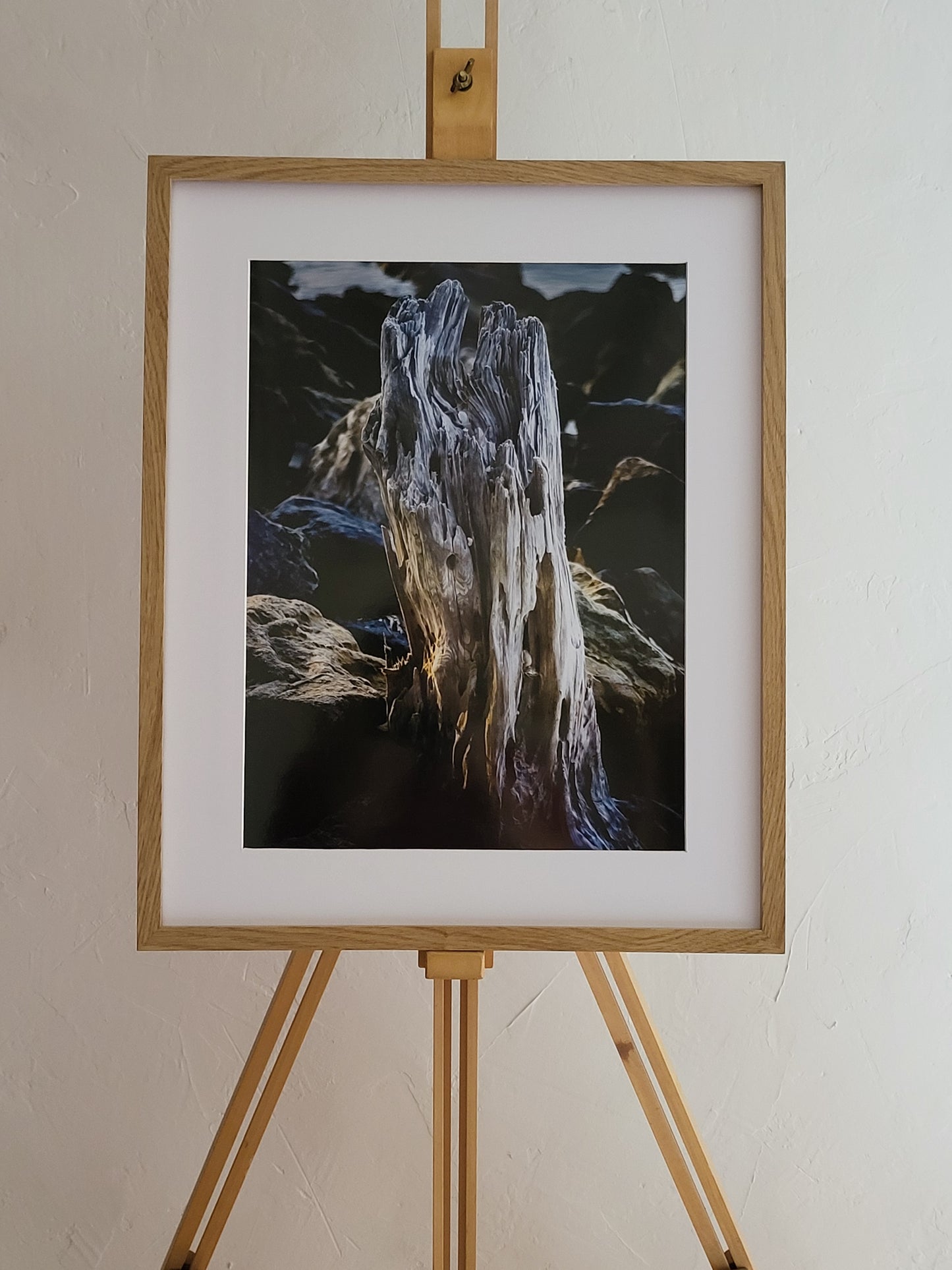 Photographie "Bleu de Bois"
