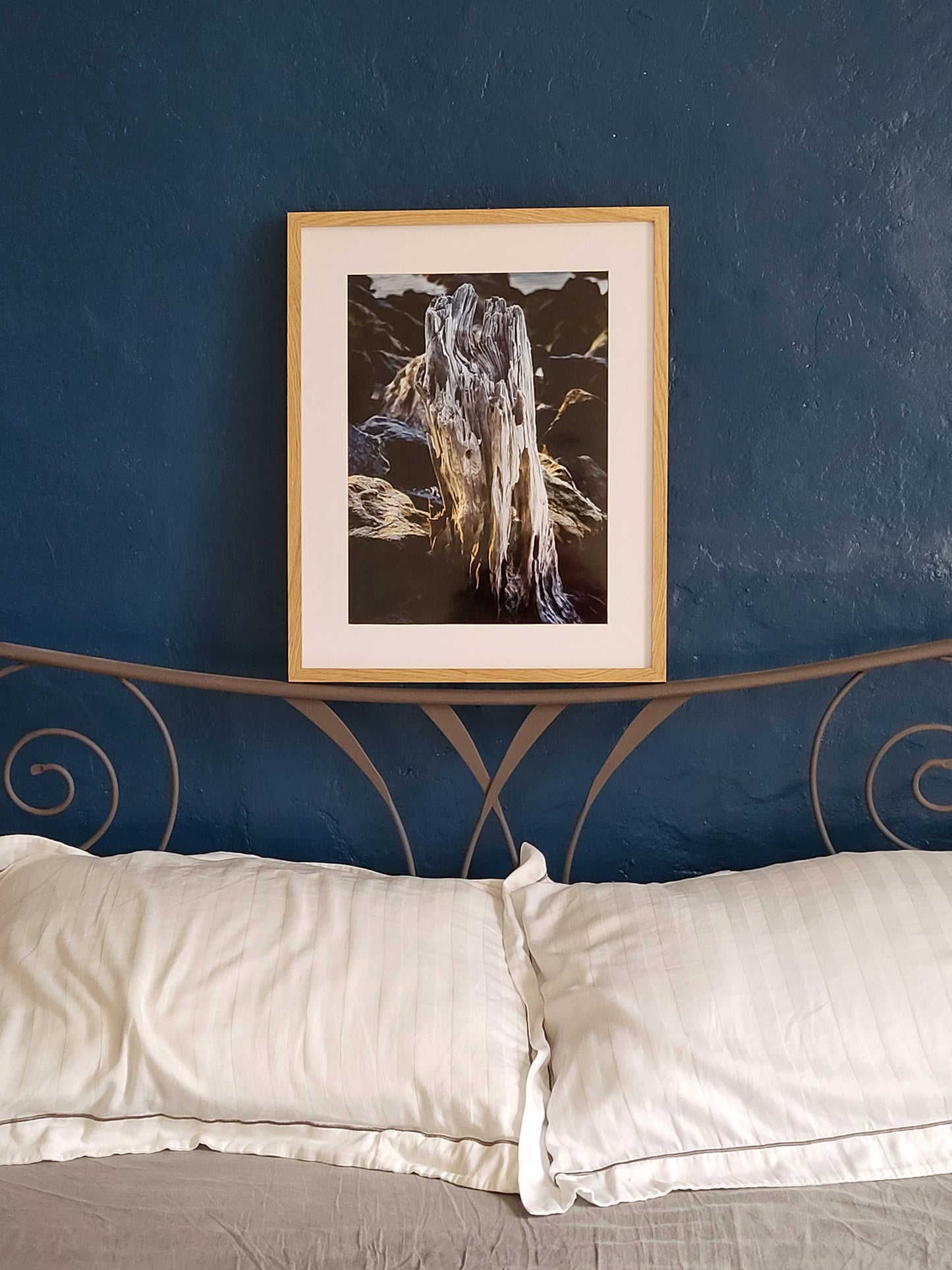 Photographie "Bleu de Bois"