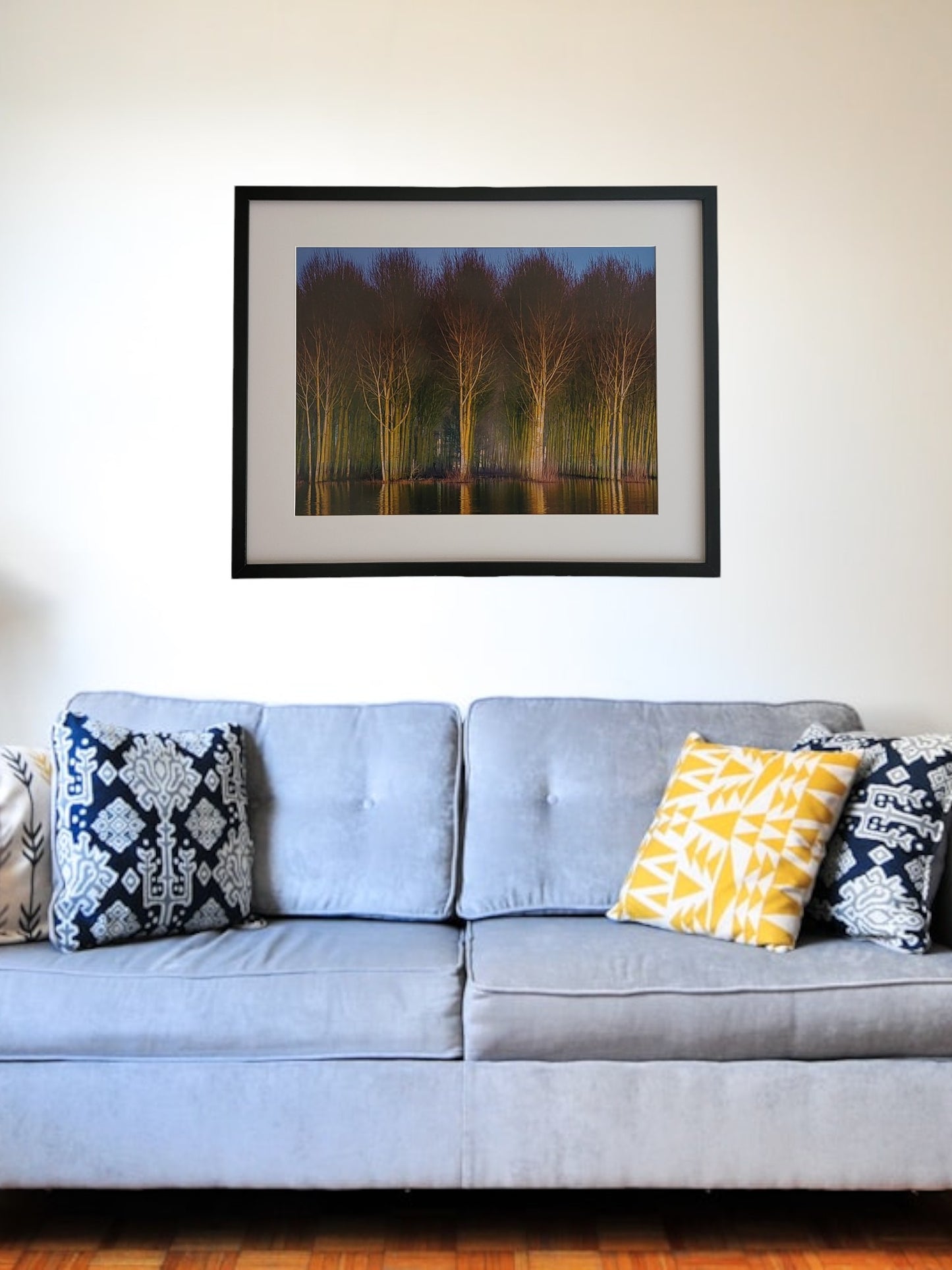Photographie "6 Arbres"