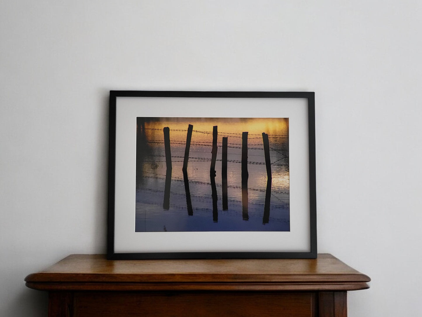 Photographie "Barrière d'un soir"