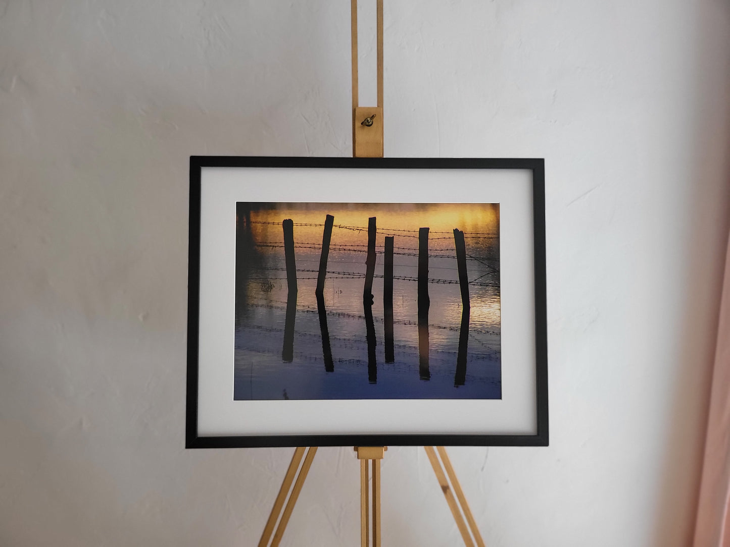 Photographie "Barrière d'un soir"