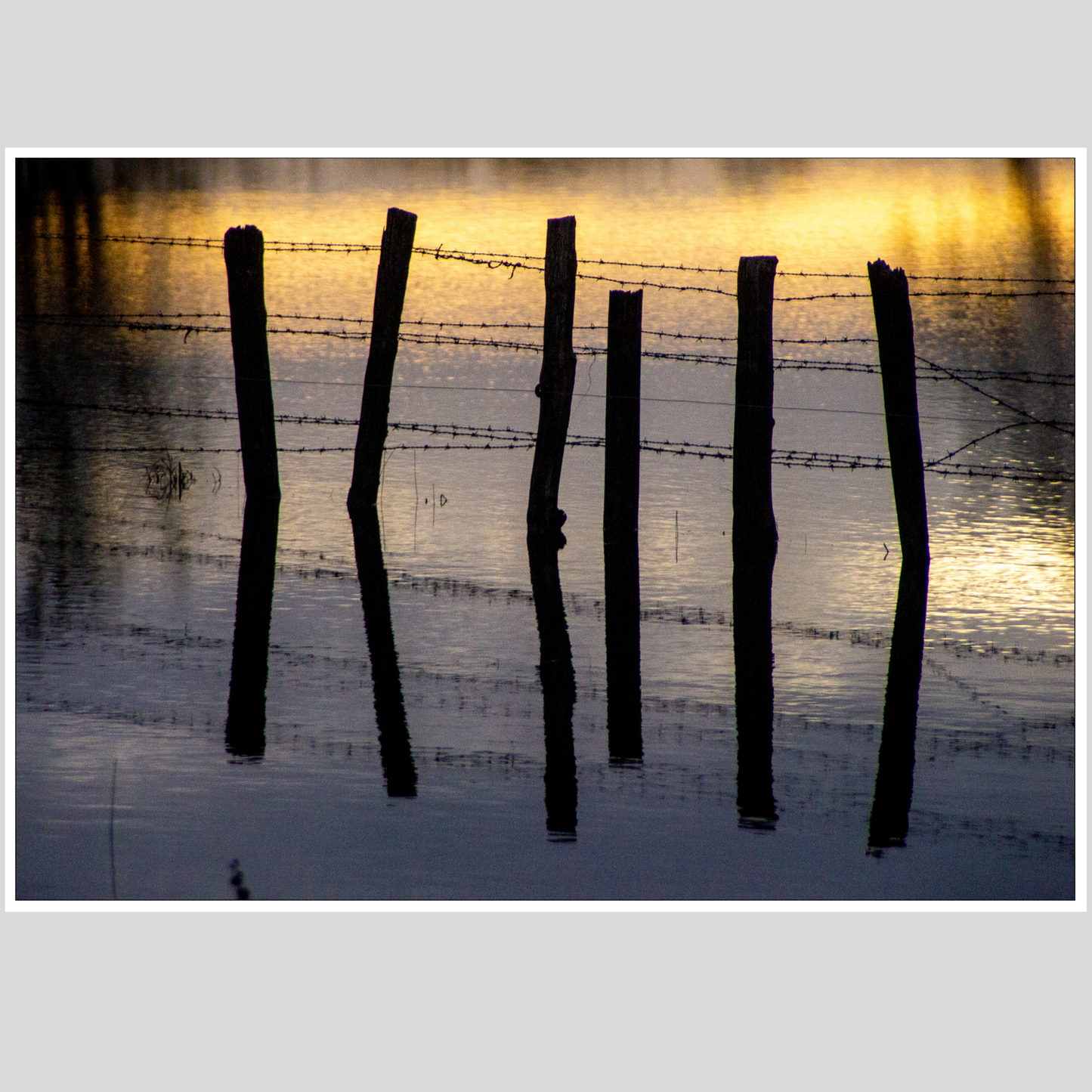 Photographie "Barrière d'un soir"