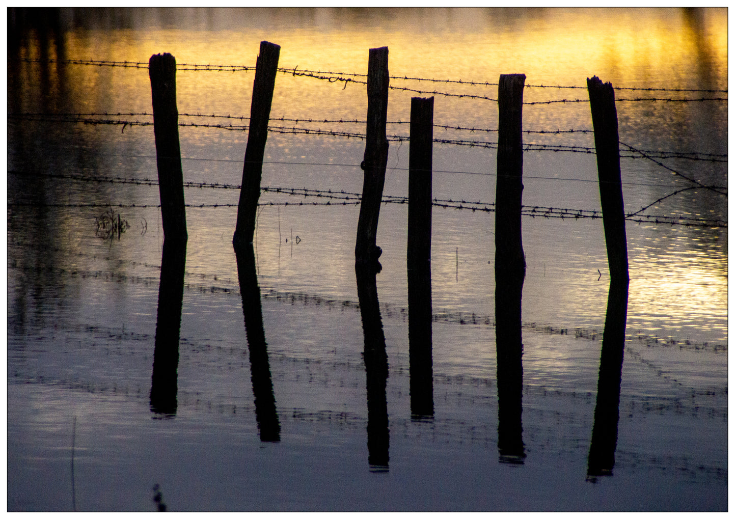Photographie "Barrière d'un soir"