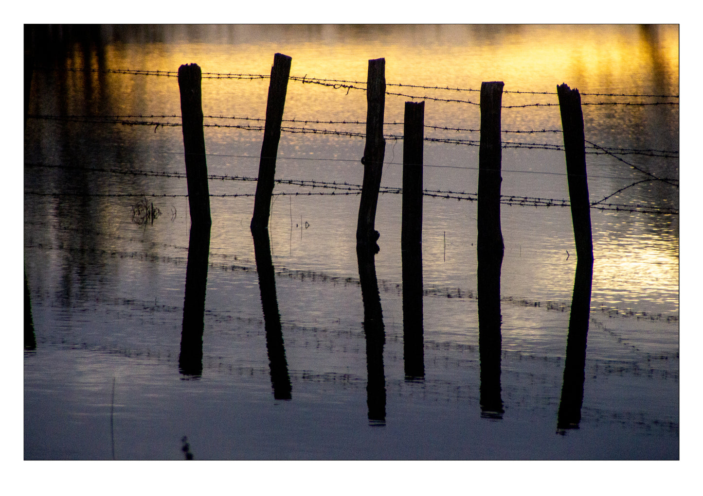 Photographie "Barrière d'un soir"