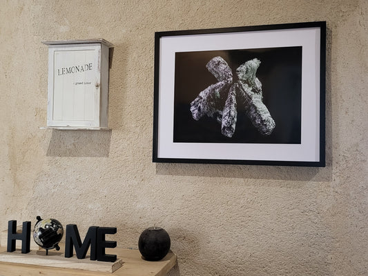 Photographie "Bois Vert"